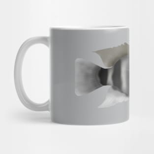 Humphead Cichlid Mug